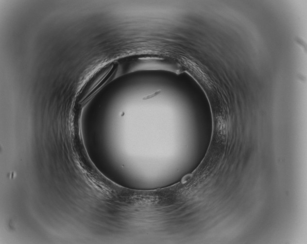 X0000097640676200802291405