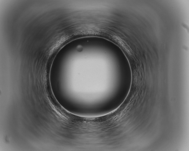 X0000097640677200802291405