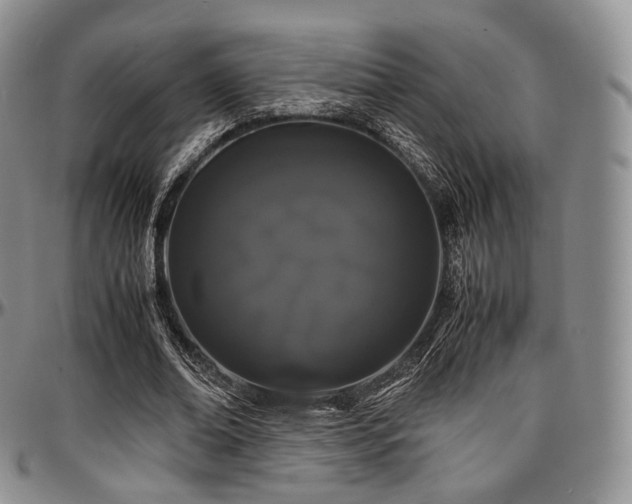 X0000097640678200802291405
