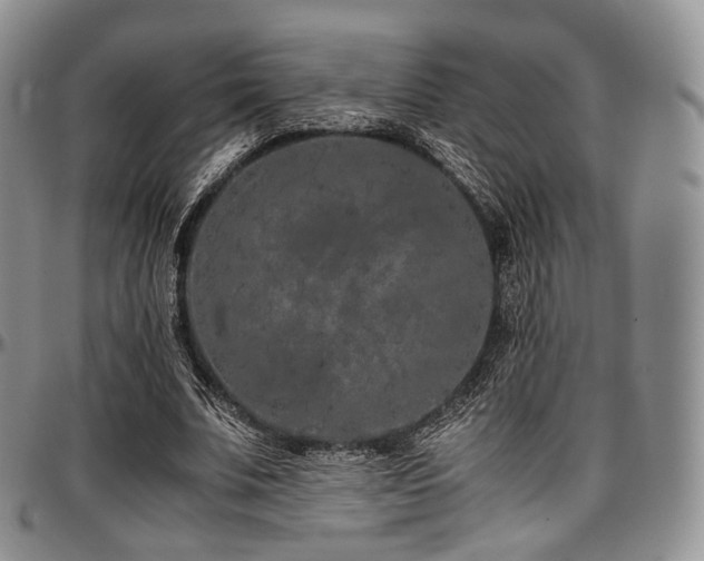 X0000097640679200802291405