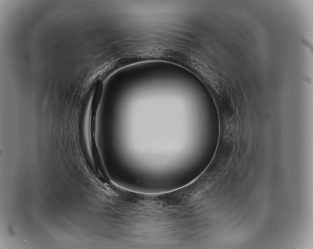 X0000097640681200802291405