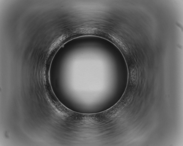 X0000097640682200802291405