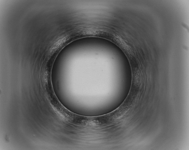 X0000097640683200802291405