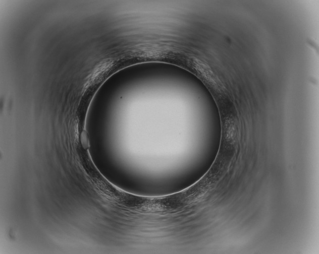X0000097640685200802291405