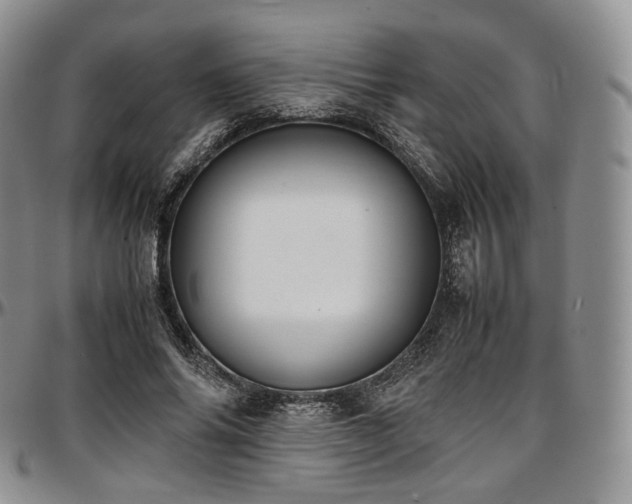 X0000097640686200802291405