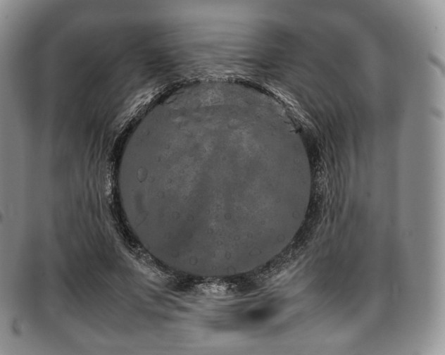 X0000097640687200802291405