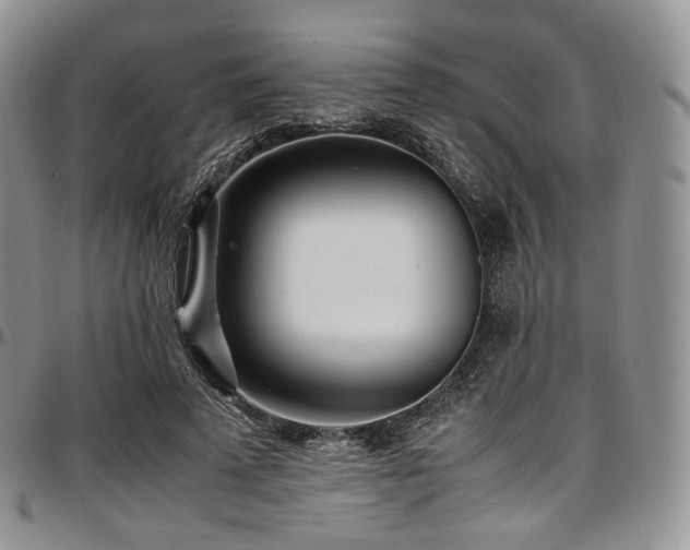 X0000097640689200802291405