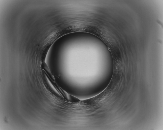 X0000097640693200802291405