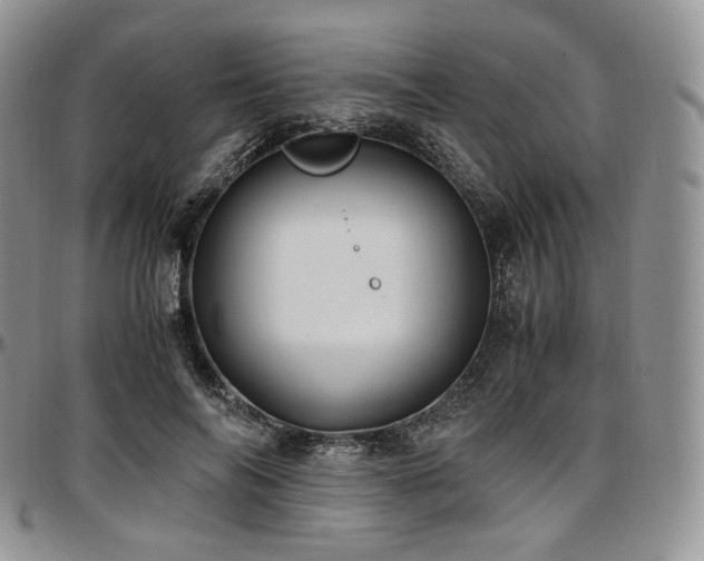 X0000097640694200802291405