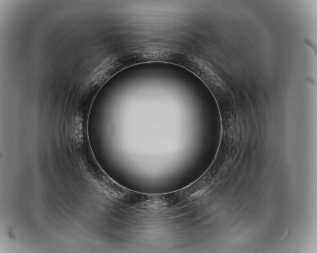 X0000097640696200802291405