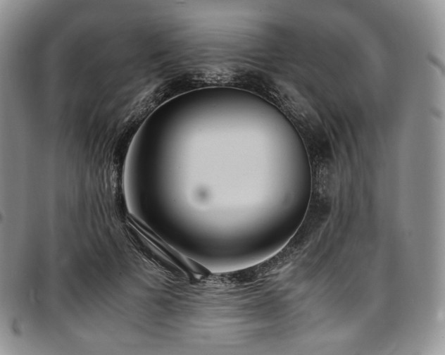 X0000097640697200802291405