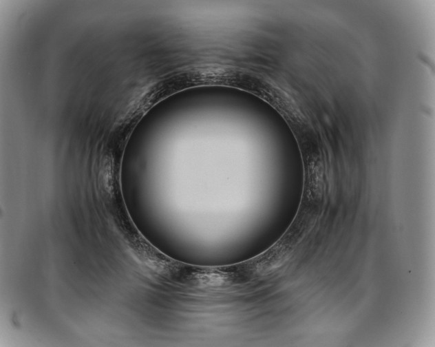 X0000097640698200802291405