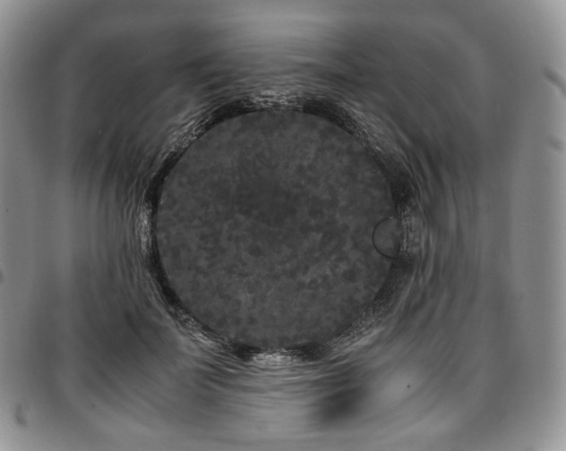 X0000097640699200802291405