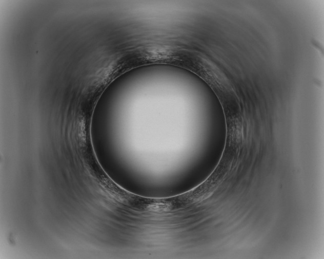 X0000097640700200802291405