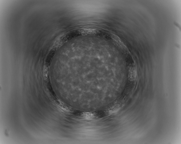 X0000097640701200802291405