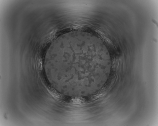 X0000097640703200802291405