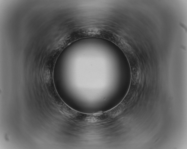 X0000097640704200802291405