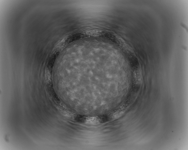 X0000097640705200802291405