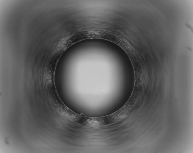 X0000097640706200802291405
