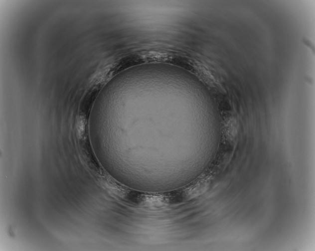 X0000097640709200802291405