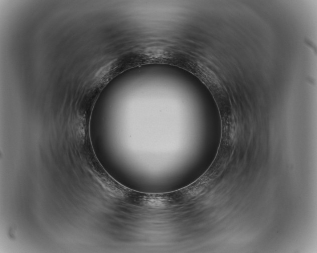 X0000097640710200802291405
