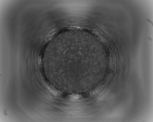 X0000097640711200802291405