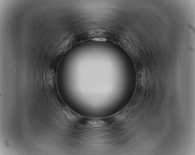 X0000097640712200802291405