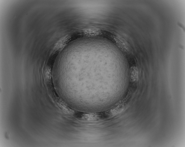 X0000097640713200802291405