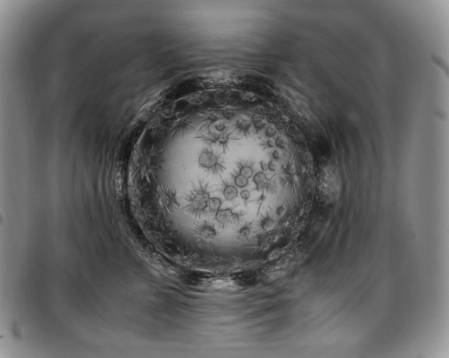 X0000097640715200802291405