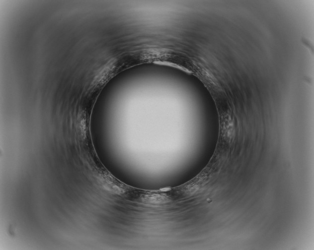 X0000097640716200802291405