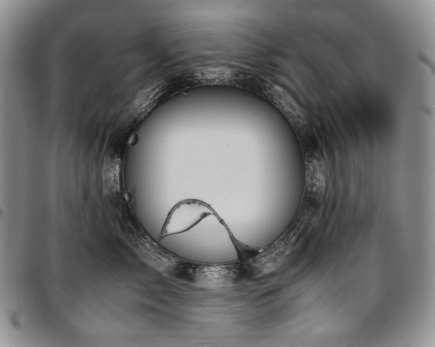X0000097640717200802291405