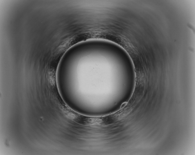X0000097640719200802291405