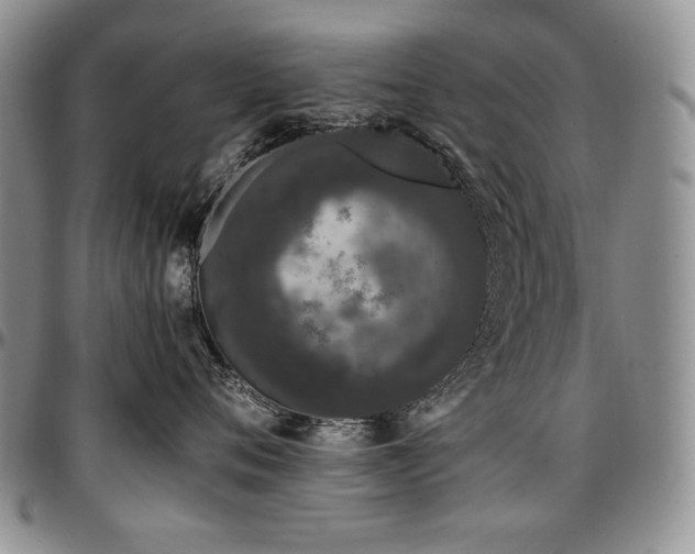 X0000097640720200802291404