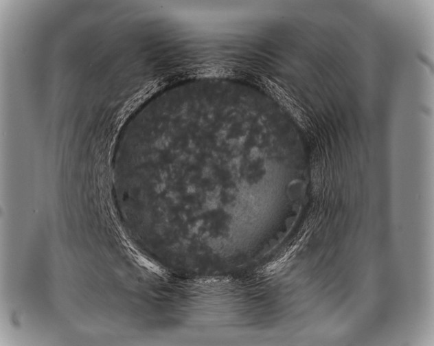 X0000097640721200802291404
