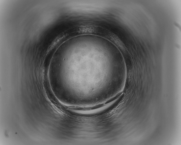 X0000097640722200802291404