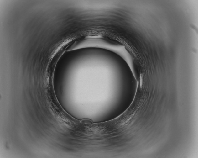 X0000097640723200802291404