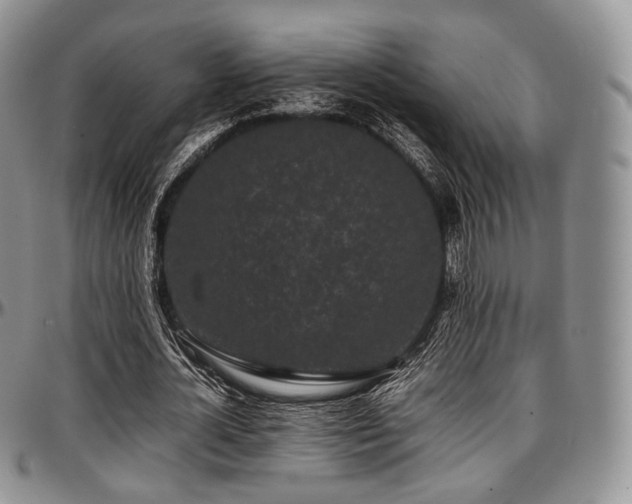 X0000097640724200802291404