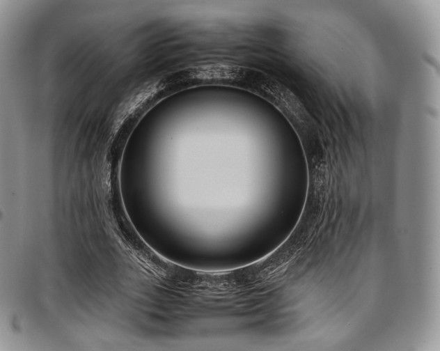 X0000097640727200802291404