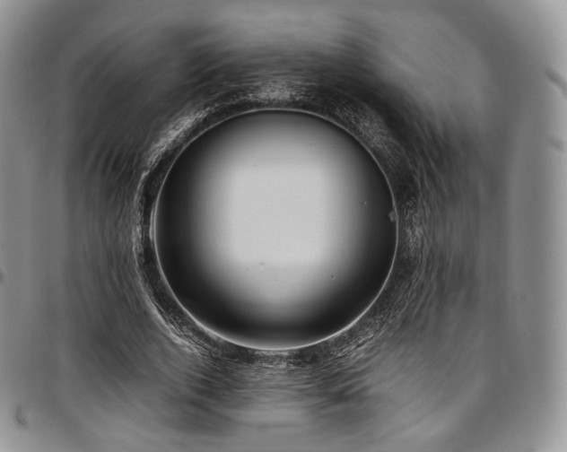 X0000097640728200802291404