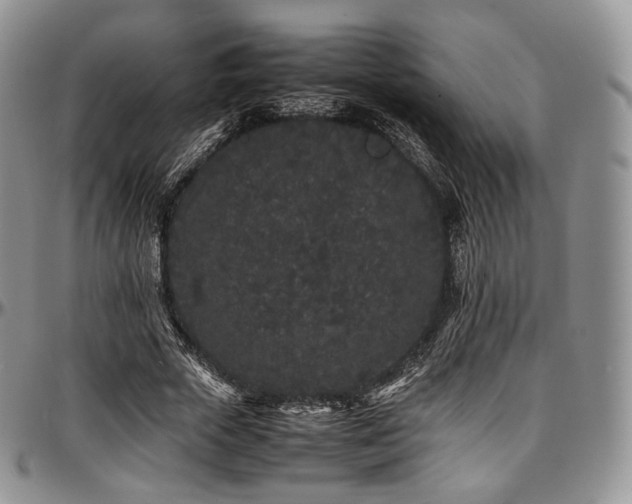 X0000097640729200802291404