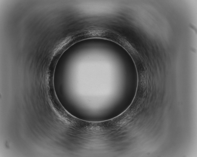 X0000097640730200802291404