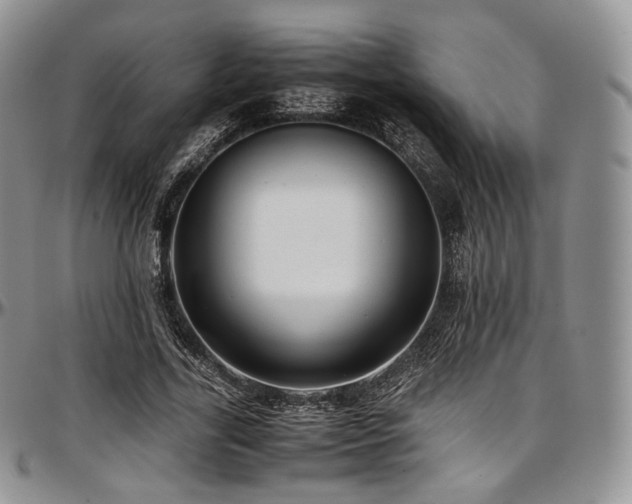 X0000097640731200802291404