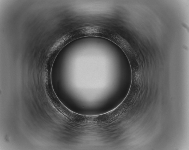 X0000097640732200802291404