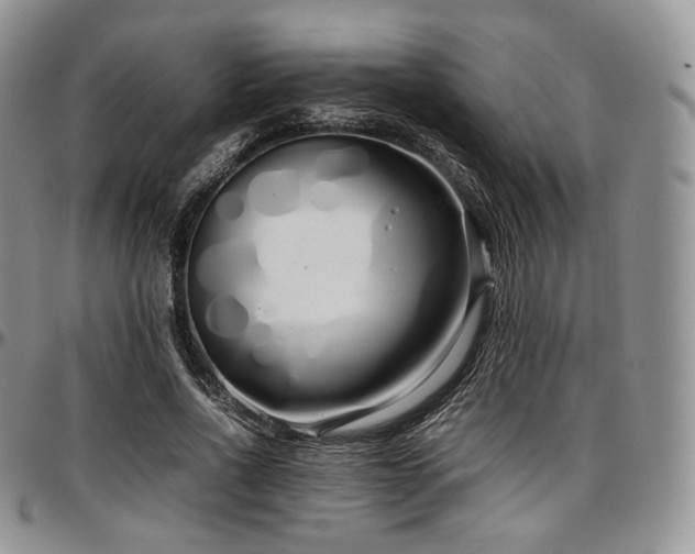 X0000097640734200802291404