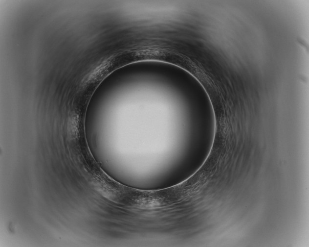 X0000097640735200802291404