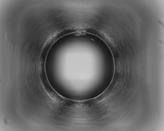 X0000097640736200802291404