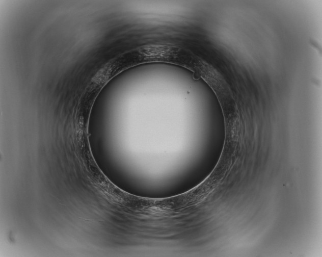 X0000097640737200802291404