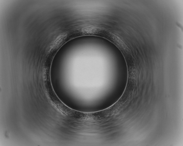 X0000097640738200802291404