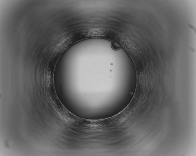 X0000097640741200802291404
