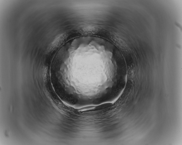 X0000097640742200802291404